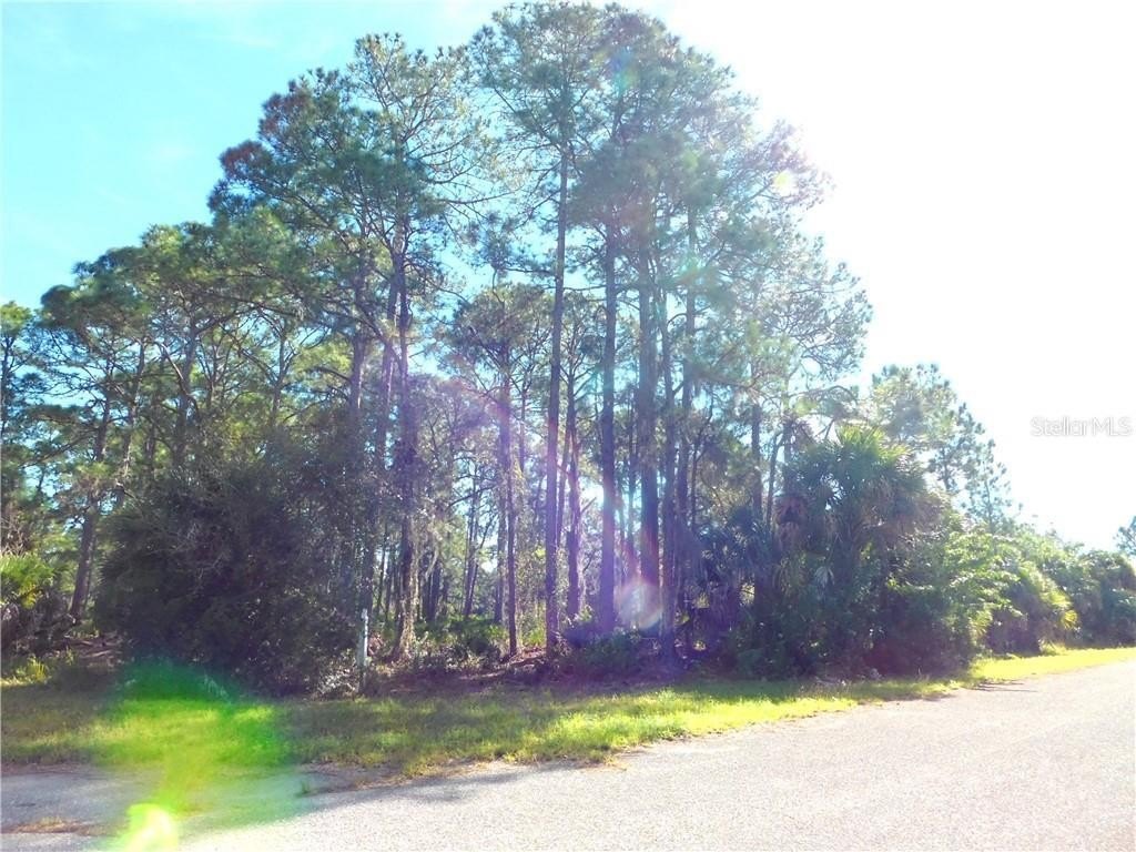Picture 13