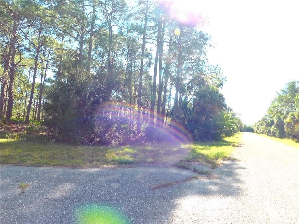 Picture 11