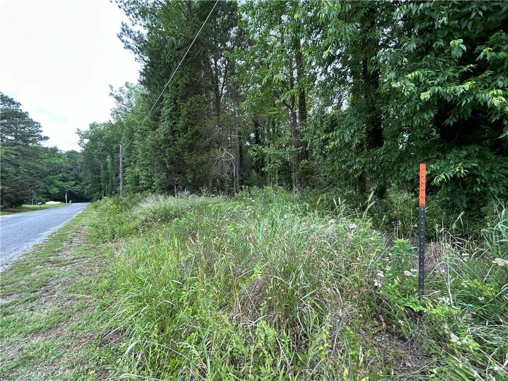 Picture 10