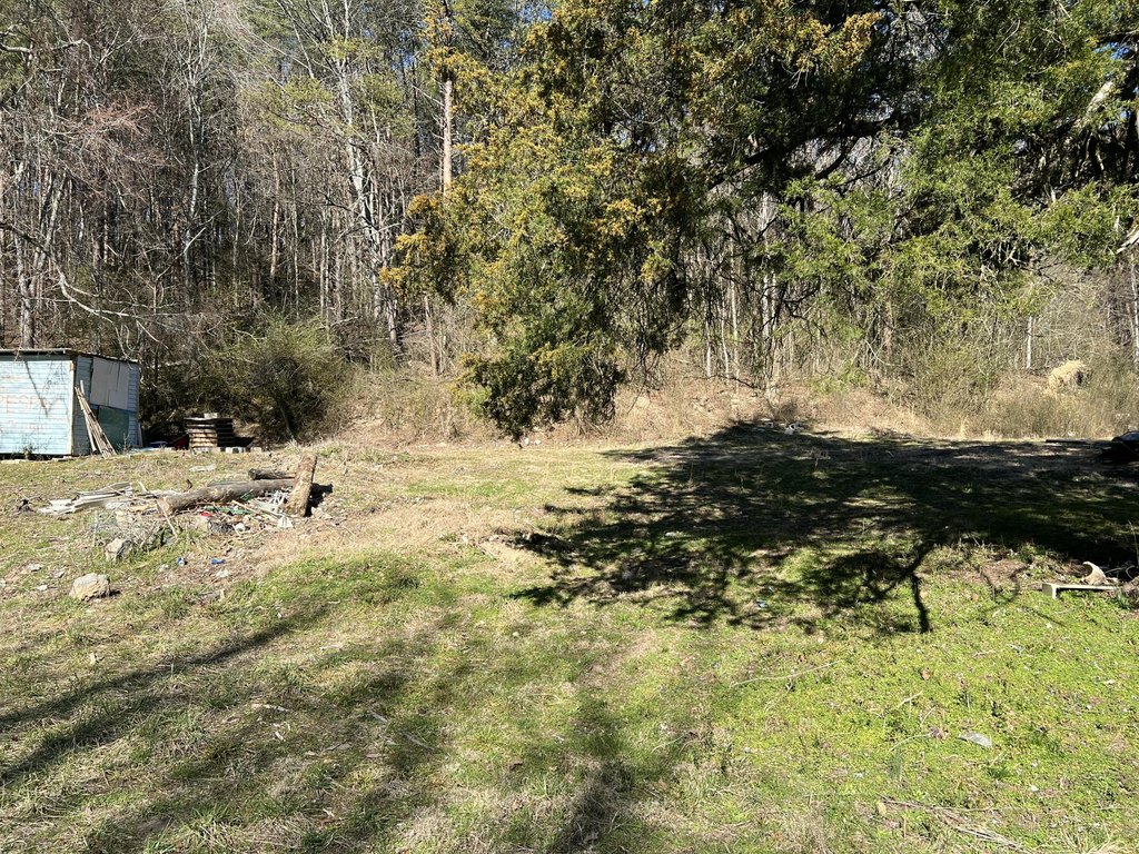 Picture 3