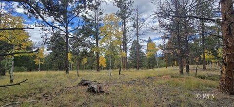 Picturesque Vacant Land in Florissant