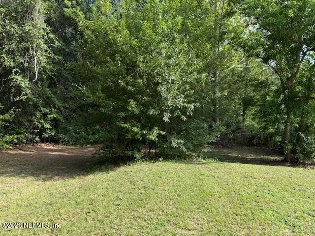Picture 13