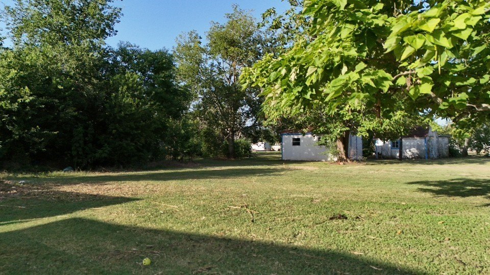 Picture 6