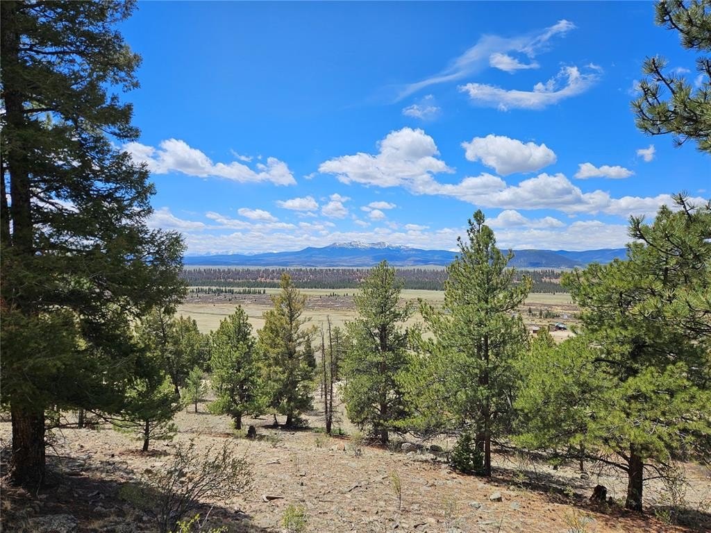 Fairplay Land with Mountain Views