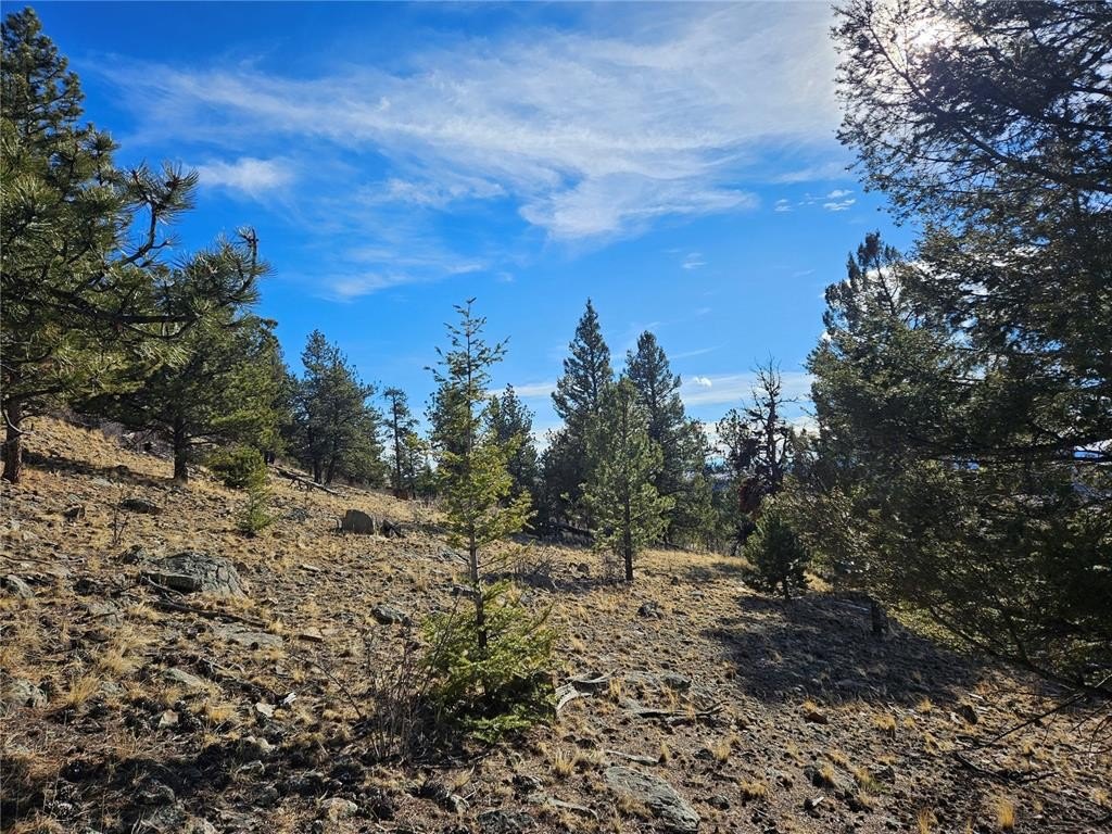 Picture 19
