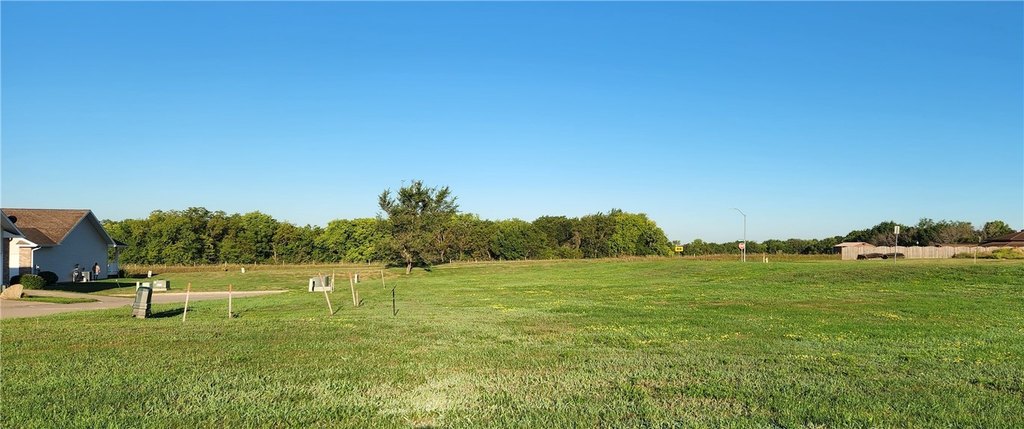 Picture 6