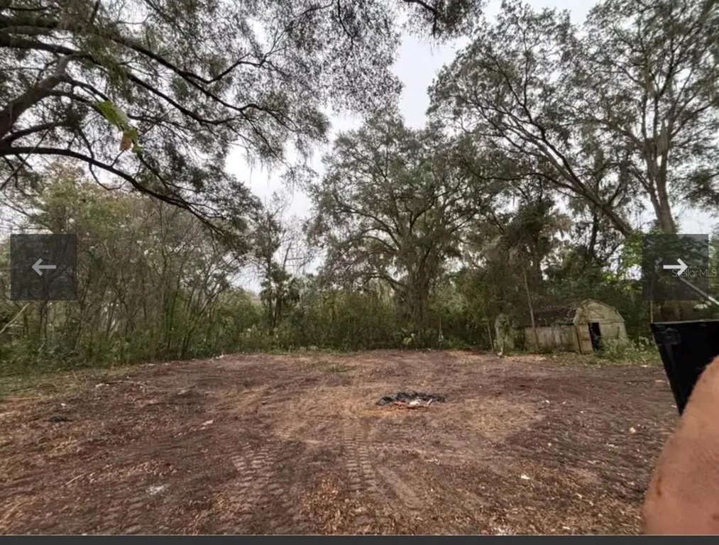 Picture 5