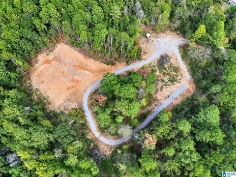 LAND/LOTS, COLUMBIANA, AL