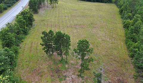 Residential Land Near Toledo Bend