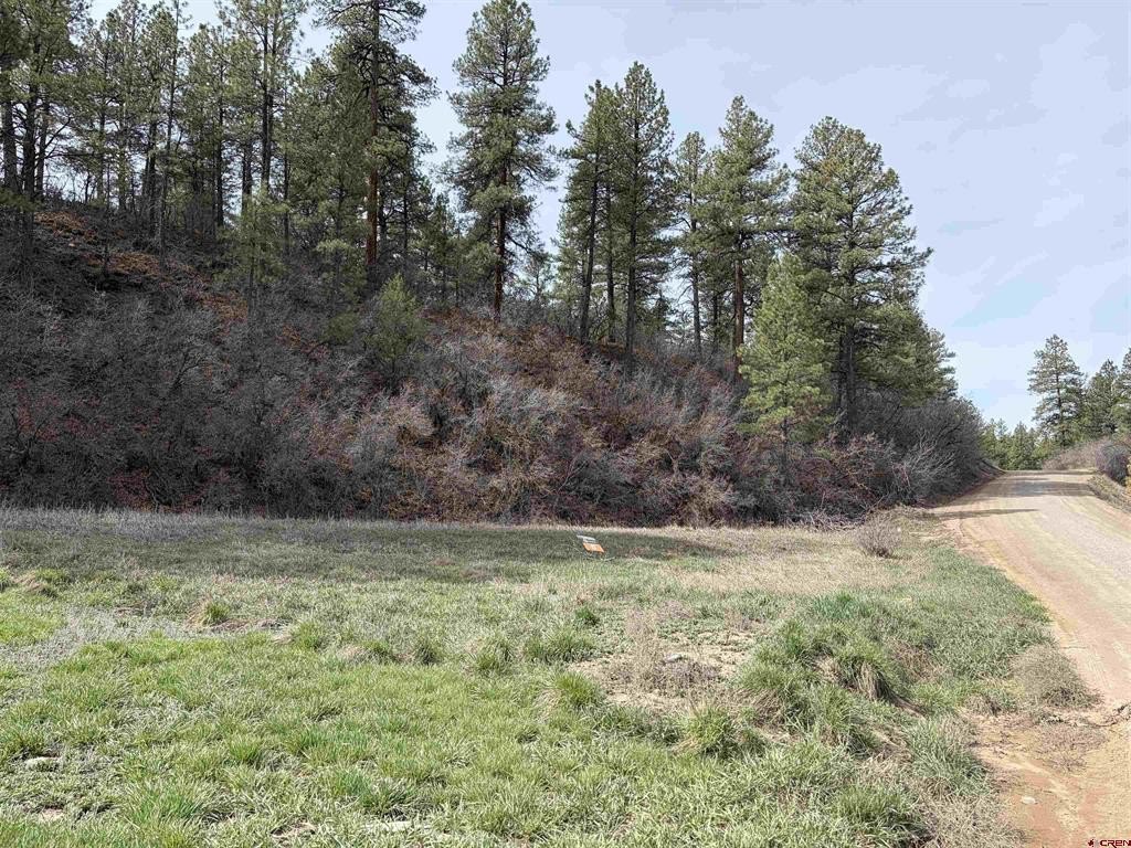 Land in Pagosa Springs, CO