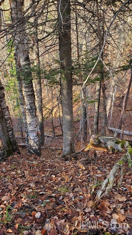 Picture 17
