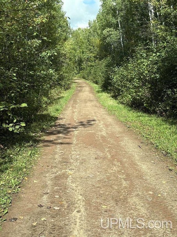 Picture 19