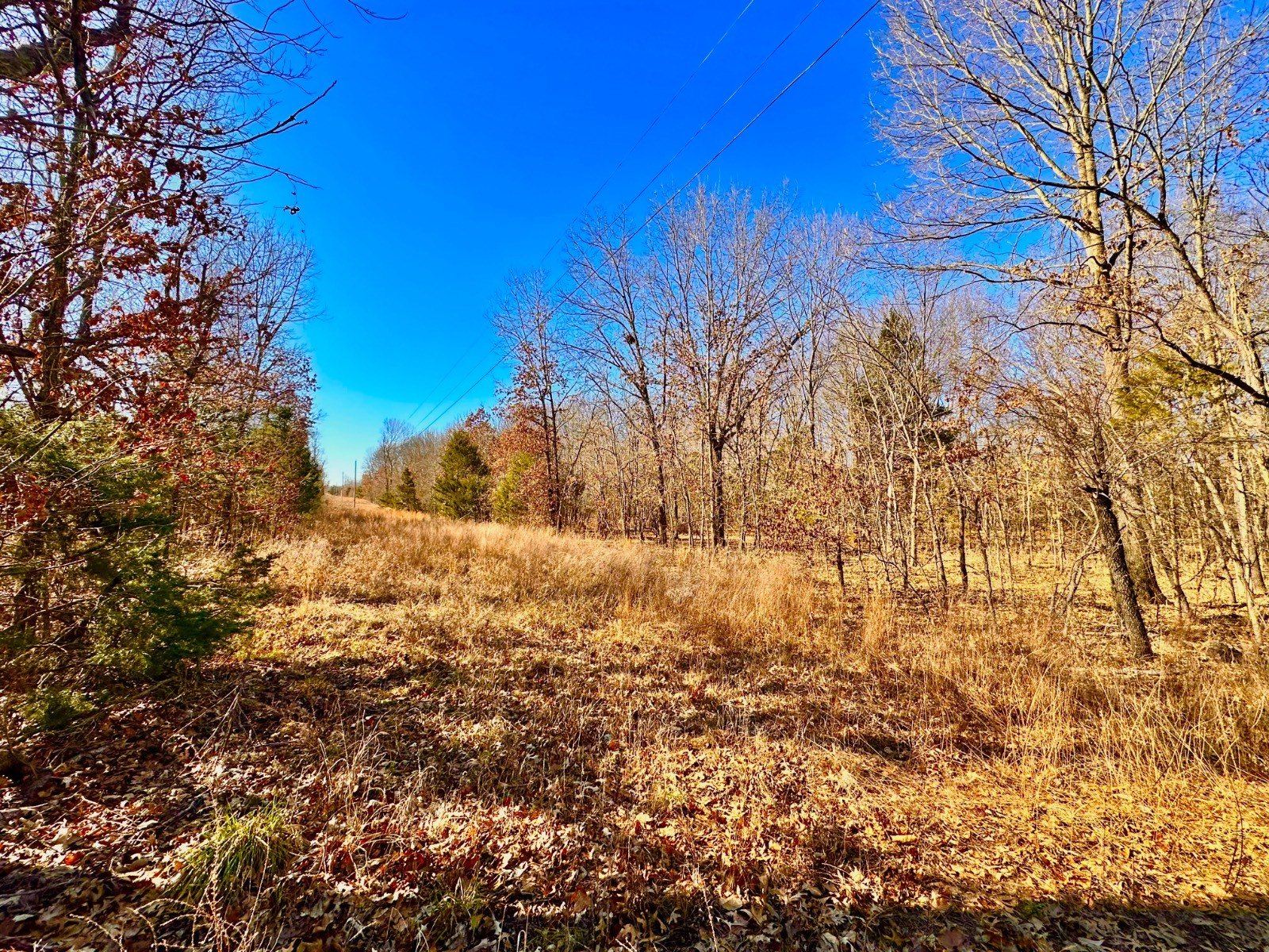 5 Acre Recreational Land in Porum