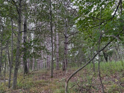 Isanti Land with Rolling Hills