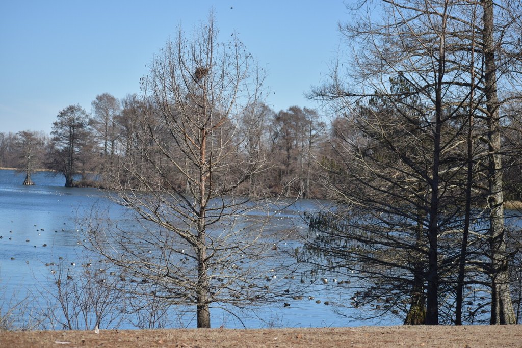 Picture 9
