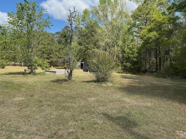 Picture 2