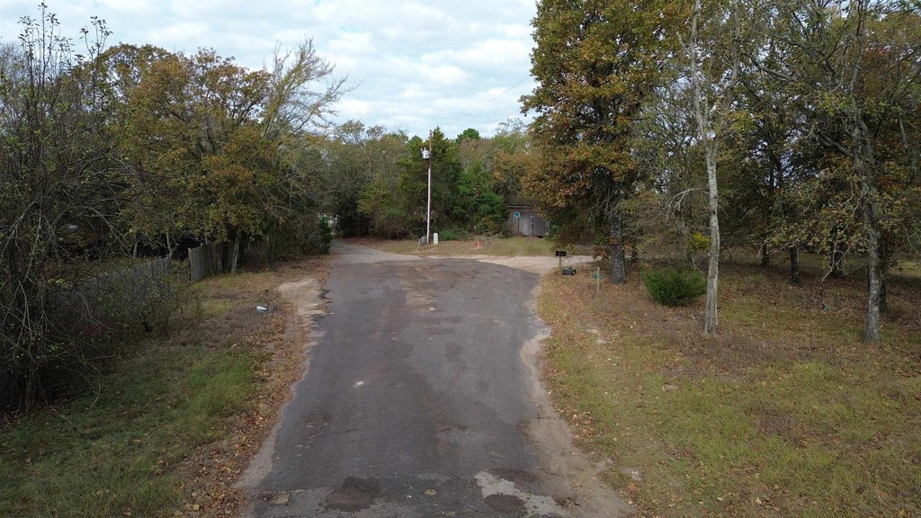 Picture 9