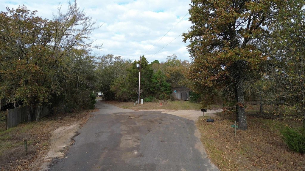 Picture 10