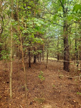 Land, Spring City, TN