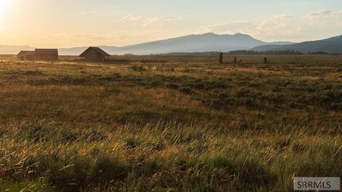 Land, Island Park, ID
