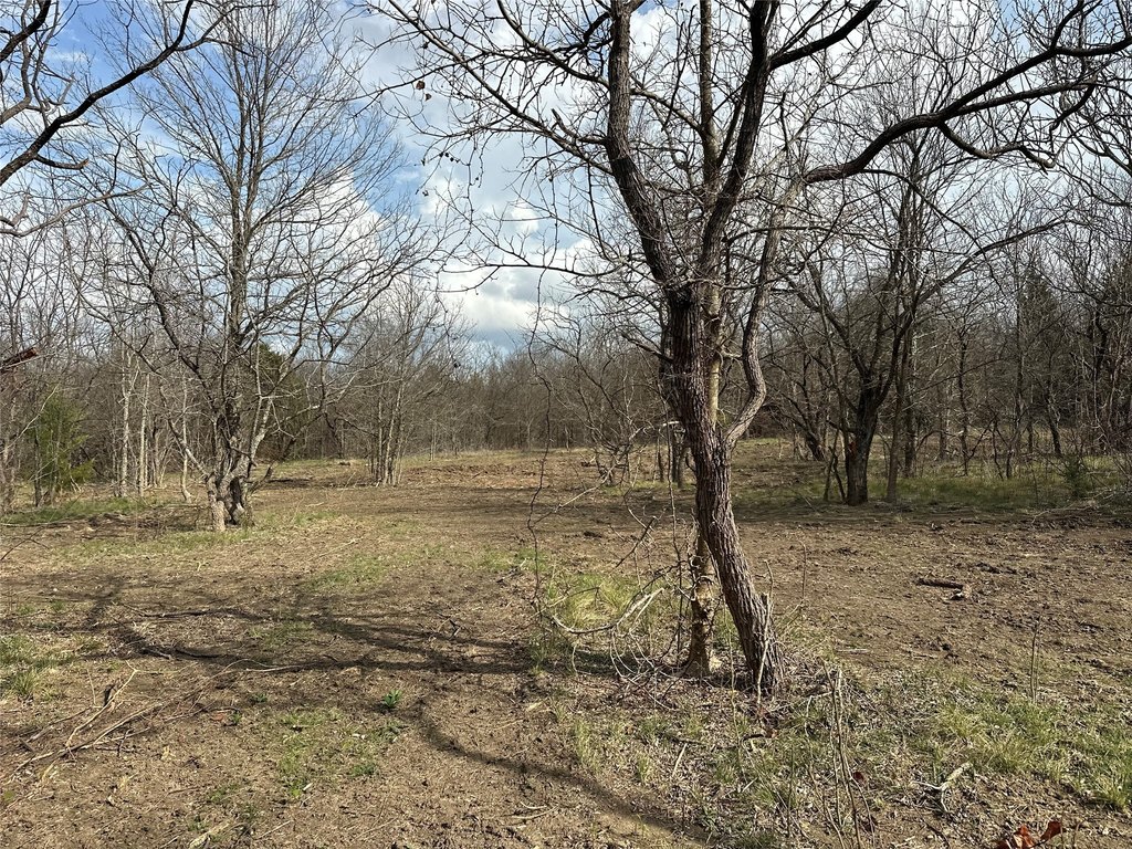 Picture 11