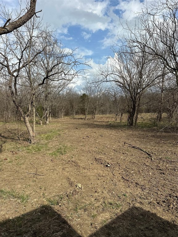 Picture 10