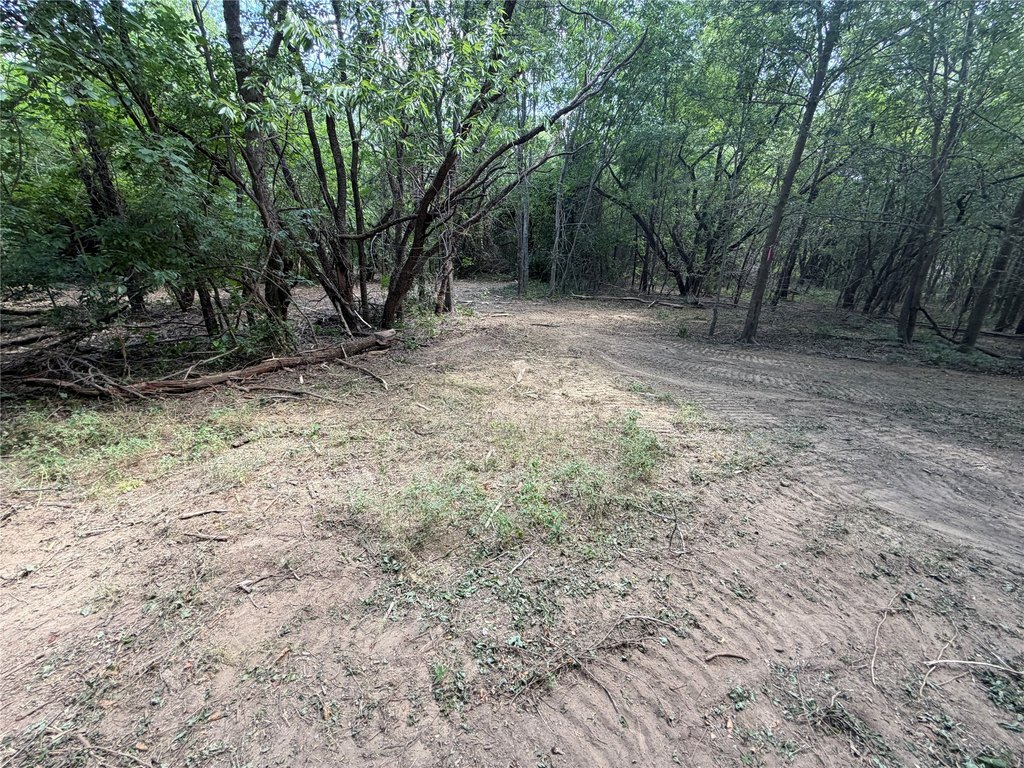 Picture 34
