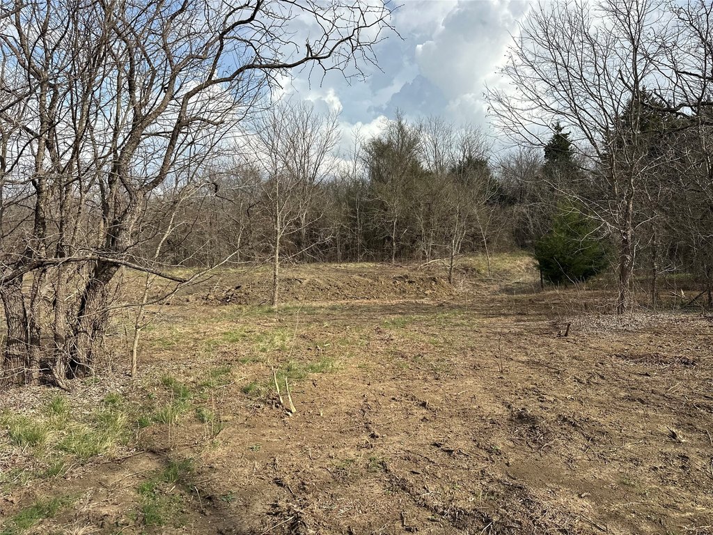 Picture 14