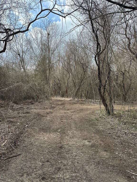 Picture 23