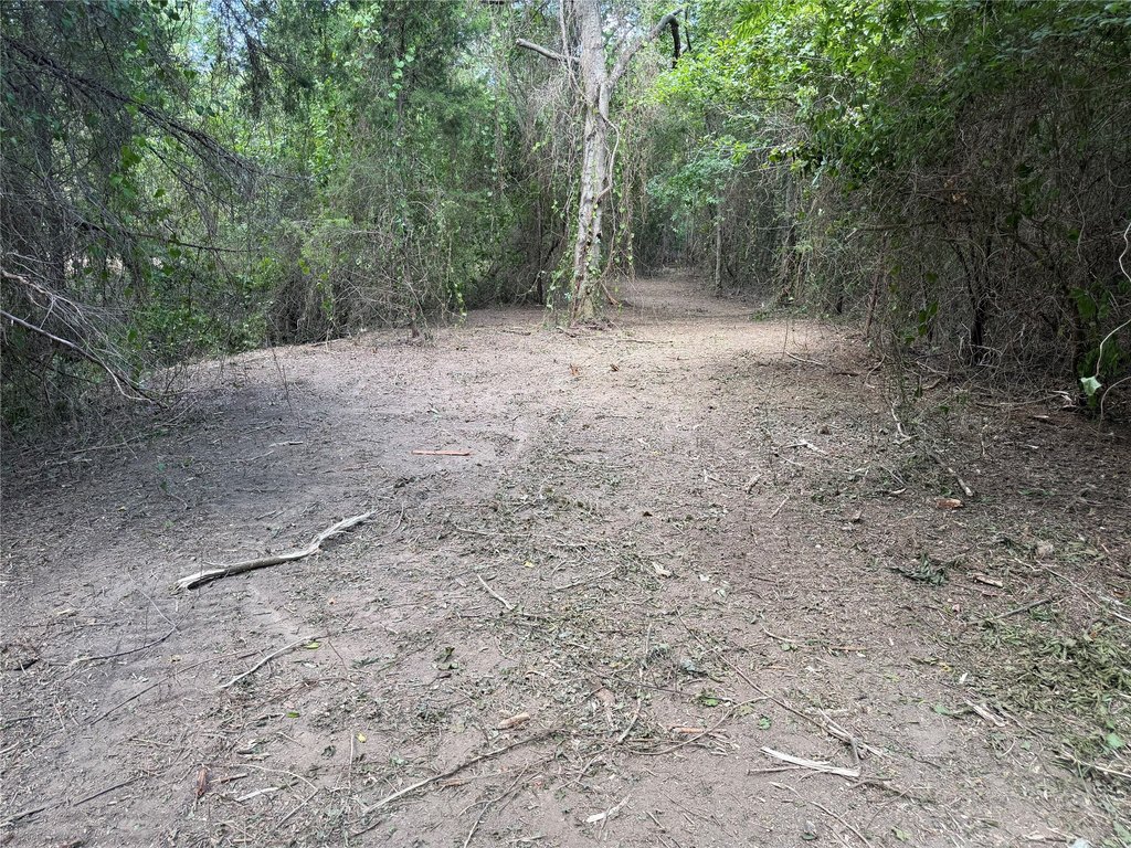 Picture 17