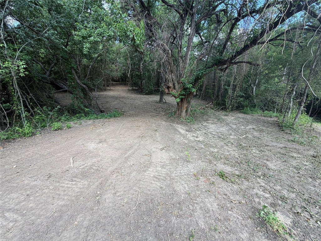 Picture 13