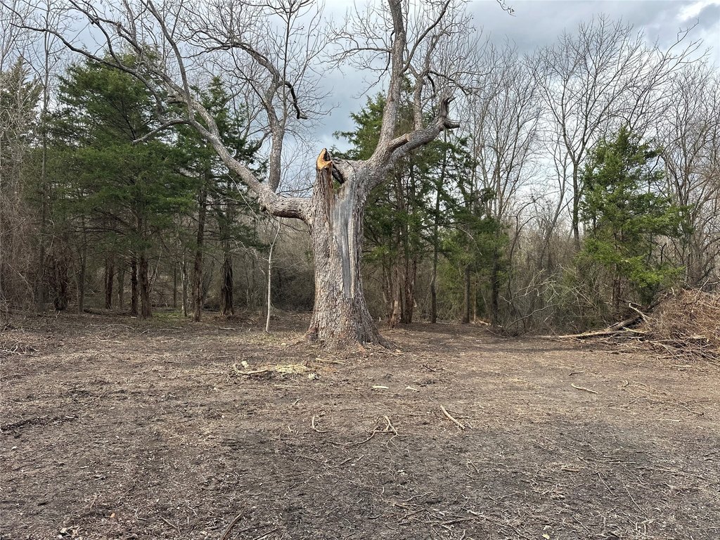 Picture 19