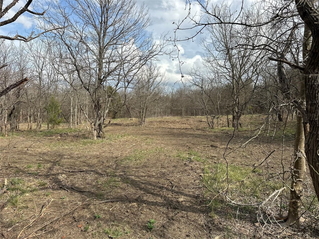 Picture 12