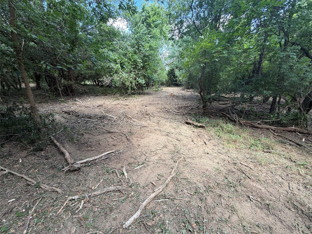 Picture 26