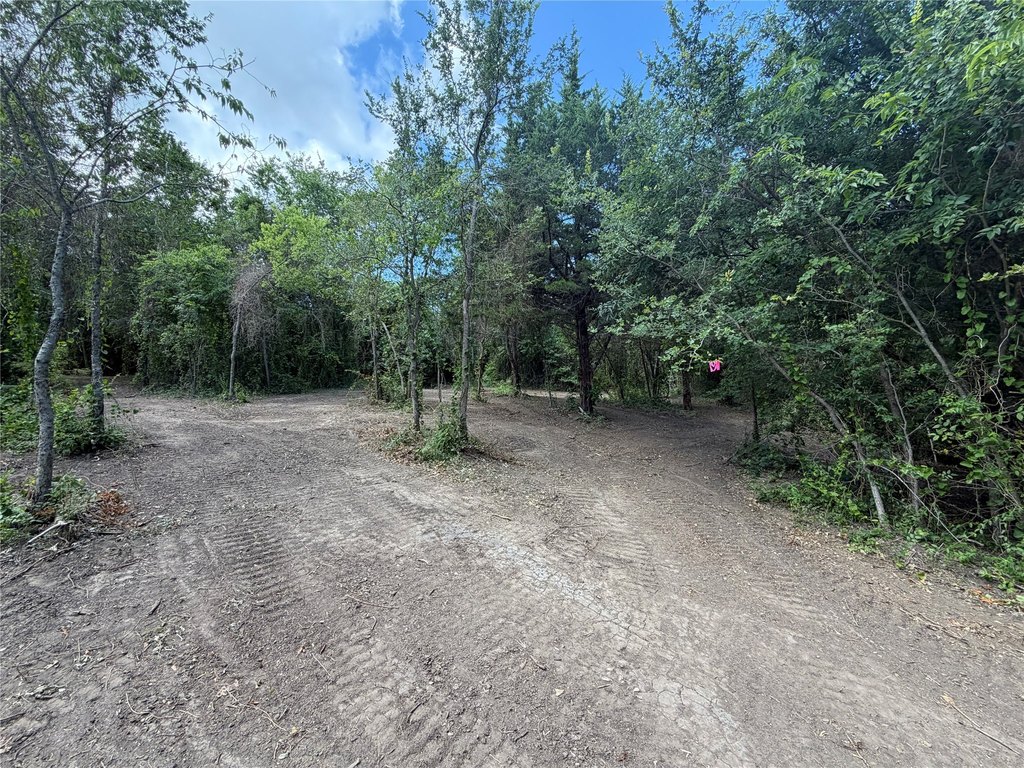 Picture 22