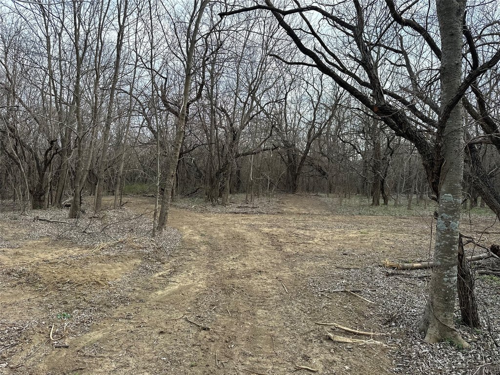 Picture 7
