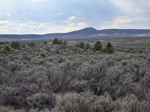 Land, Ranchos de Taos, NM