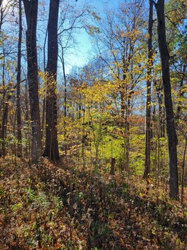 Residential Lots in Greencastle, IN