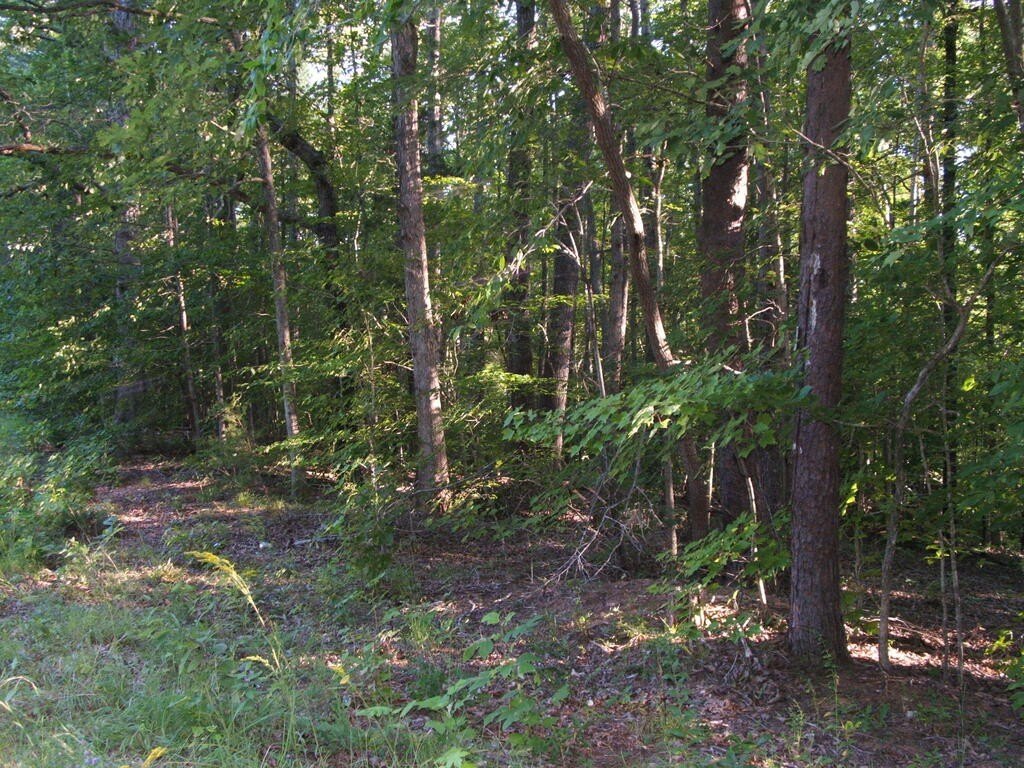 Picture 9
