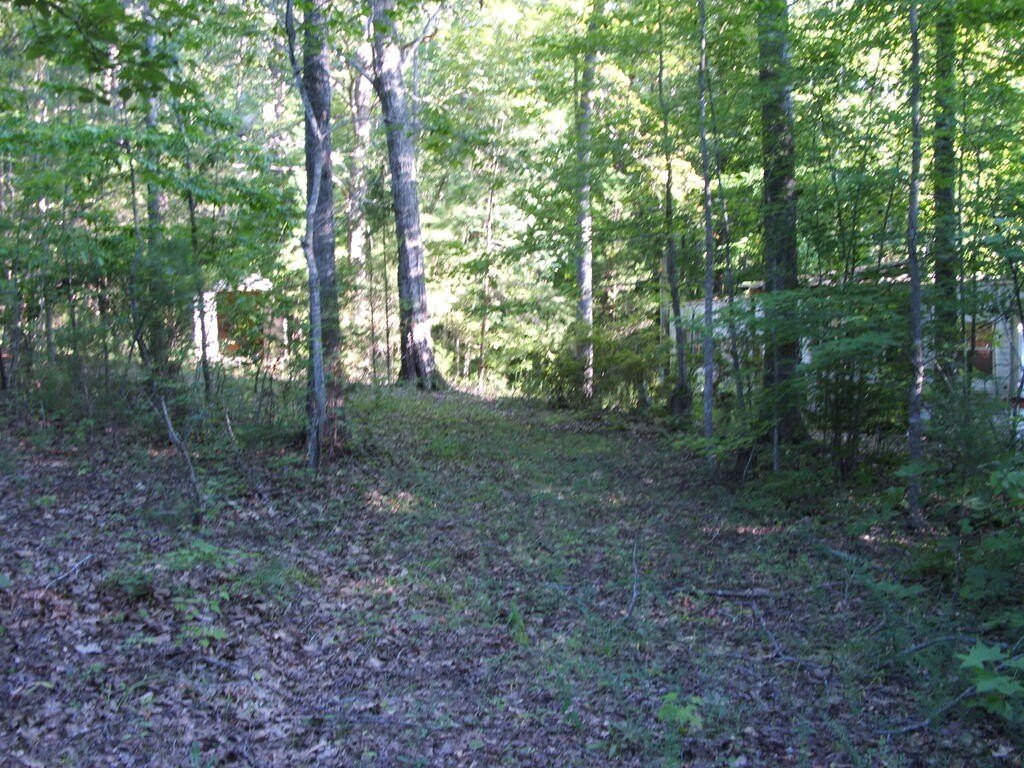 Picture 4