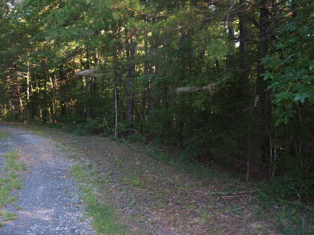 Picture 7