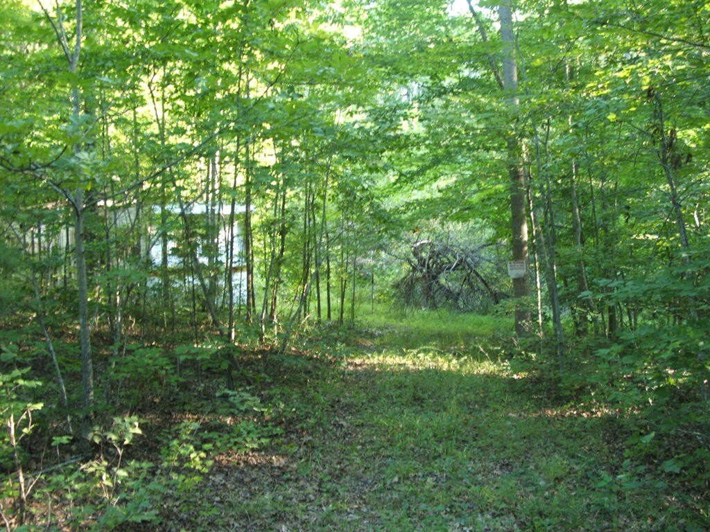 Picture 3