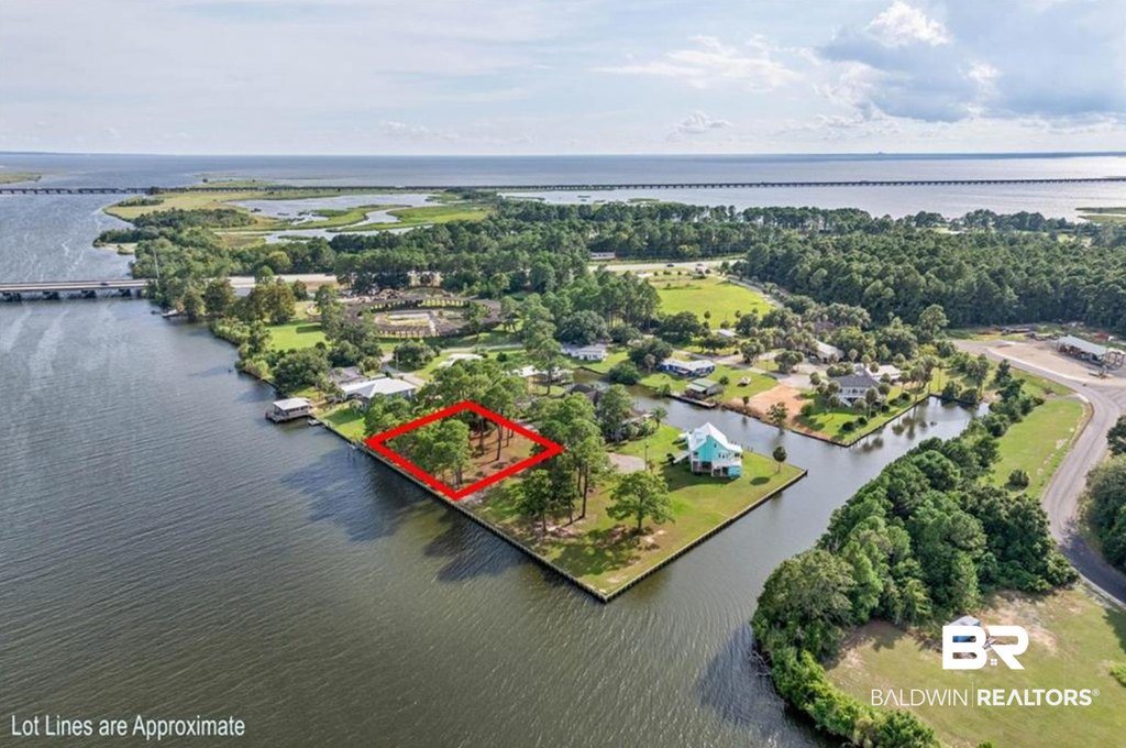 Picture 17