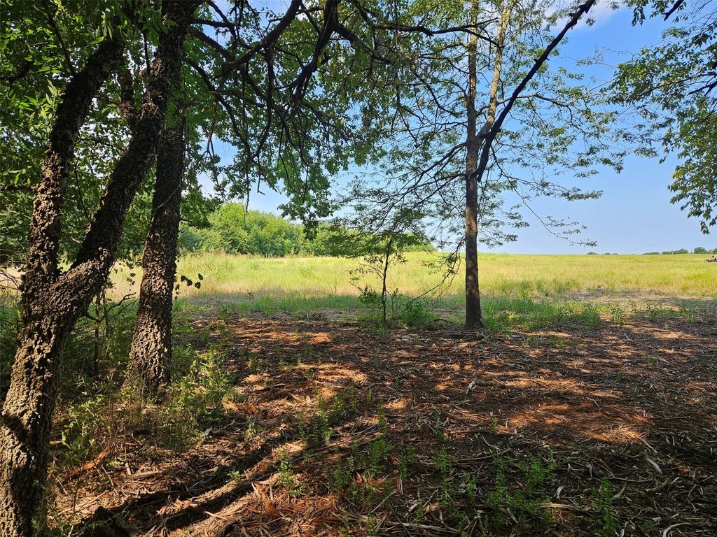 Picture 23