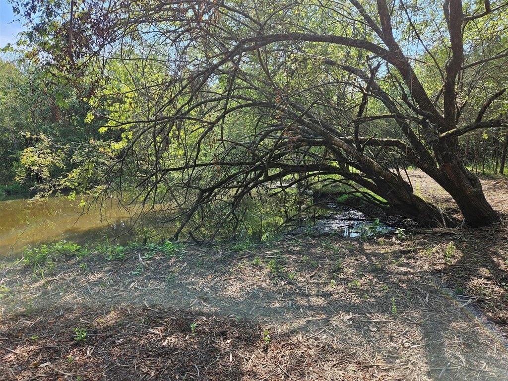 Picture 19