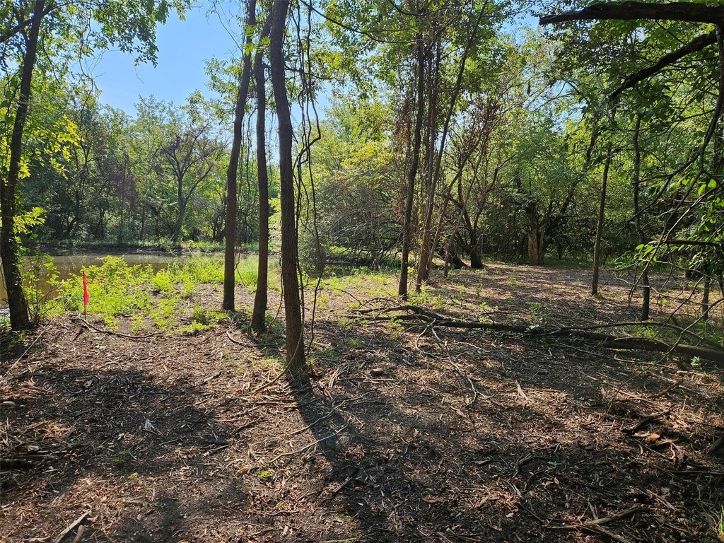Picture 22