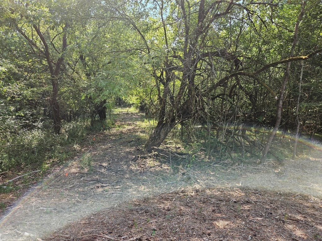 Picture 17
