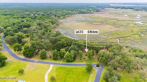 LAND - Townsend, GA