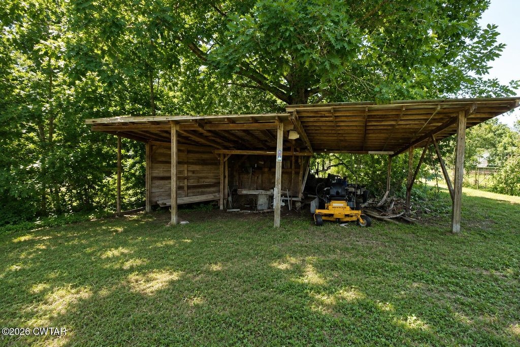Picture 5