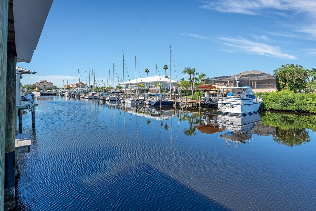Picture 5
